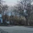 Сильный ветер вновь валил деревья в Керчи: штормовое предупреждение объявлено по всему Крыму